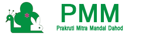 PMM Logo