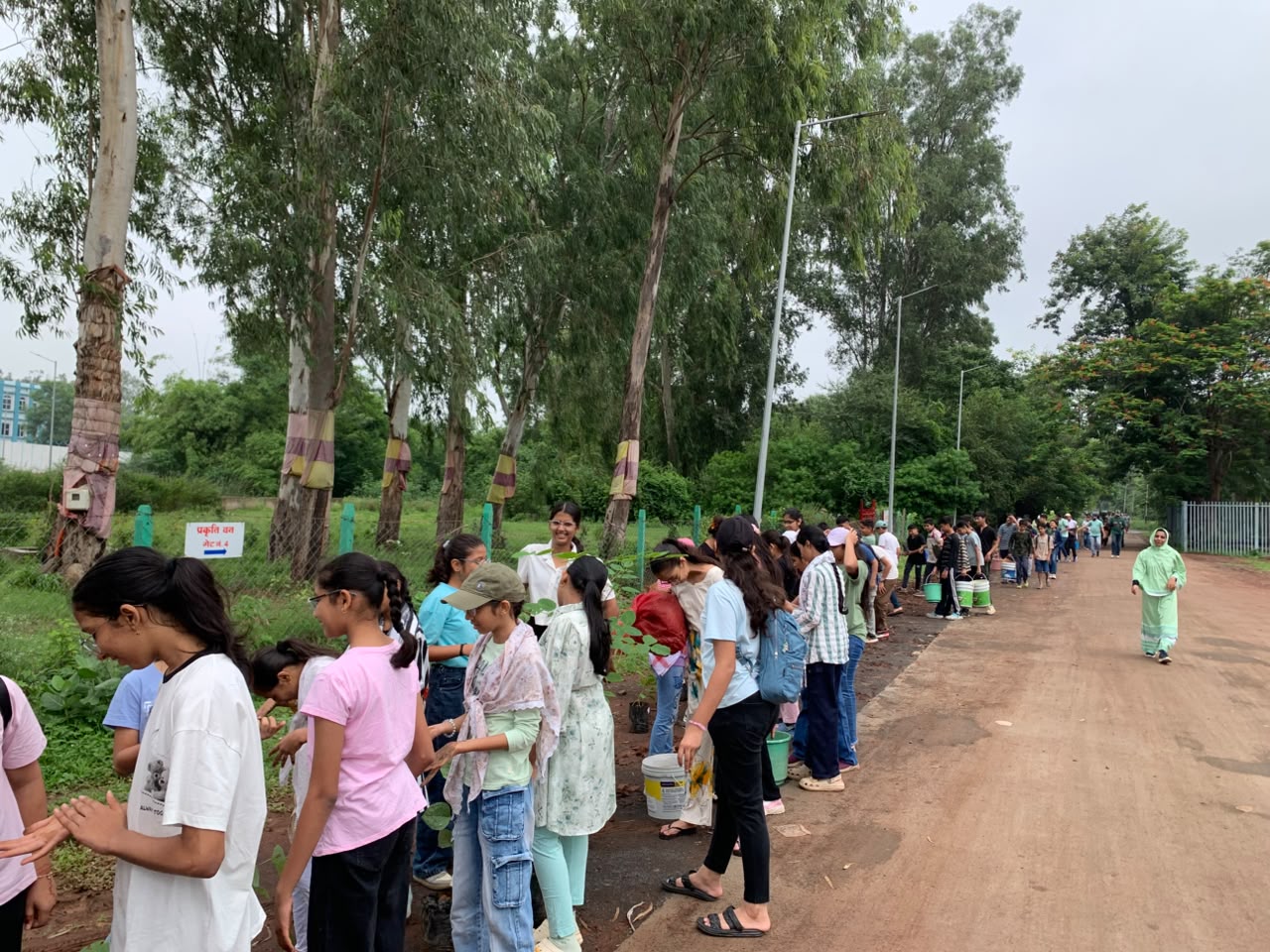 Plantation Drive - SNC