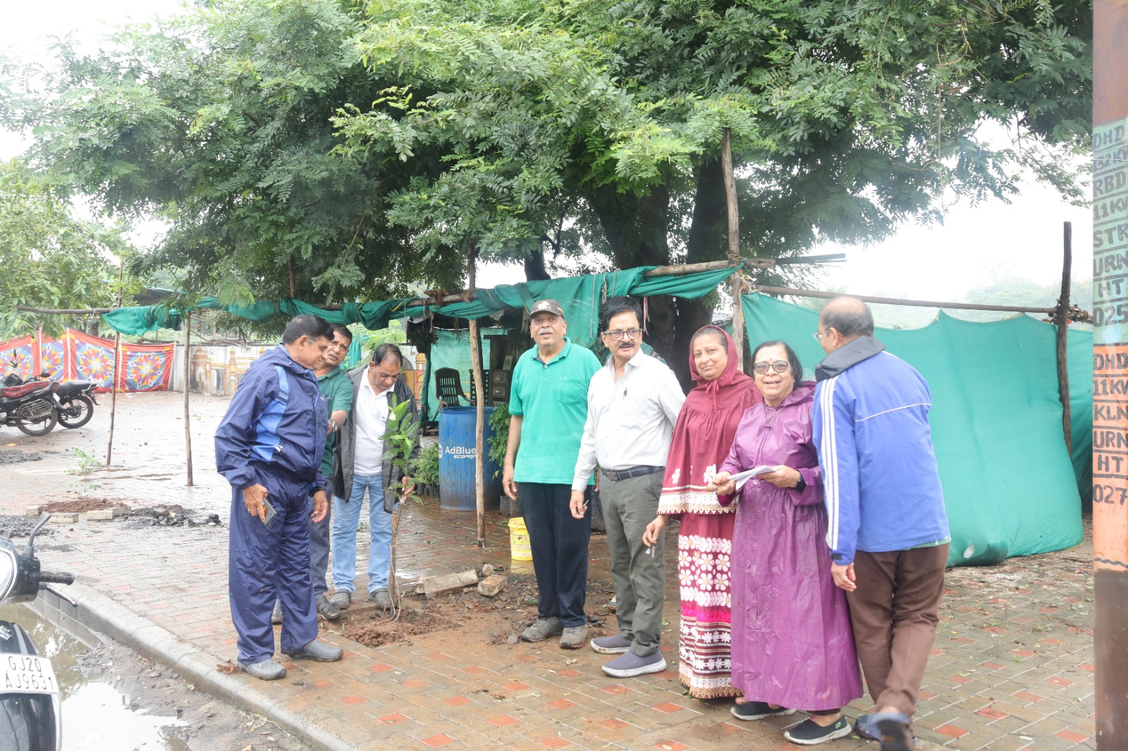 Native Tree Plantation Drive